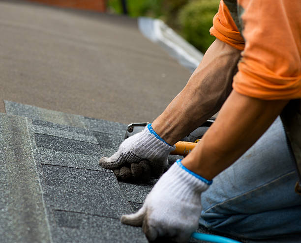 Best Emergency Roof Repair  in Oak Grove, TN